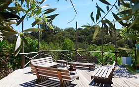 Serra Vida - A Place Of Presence