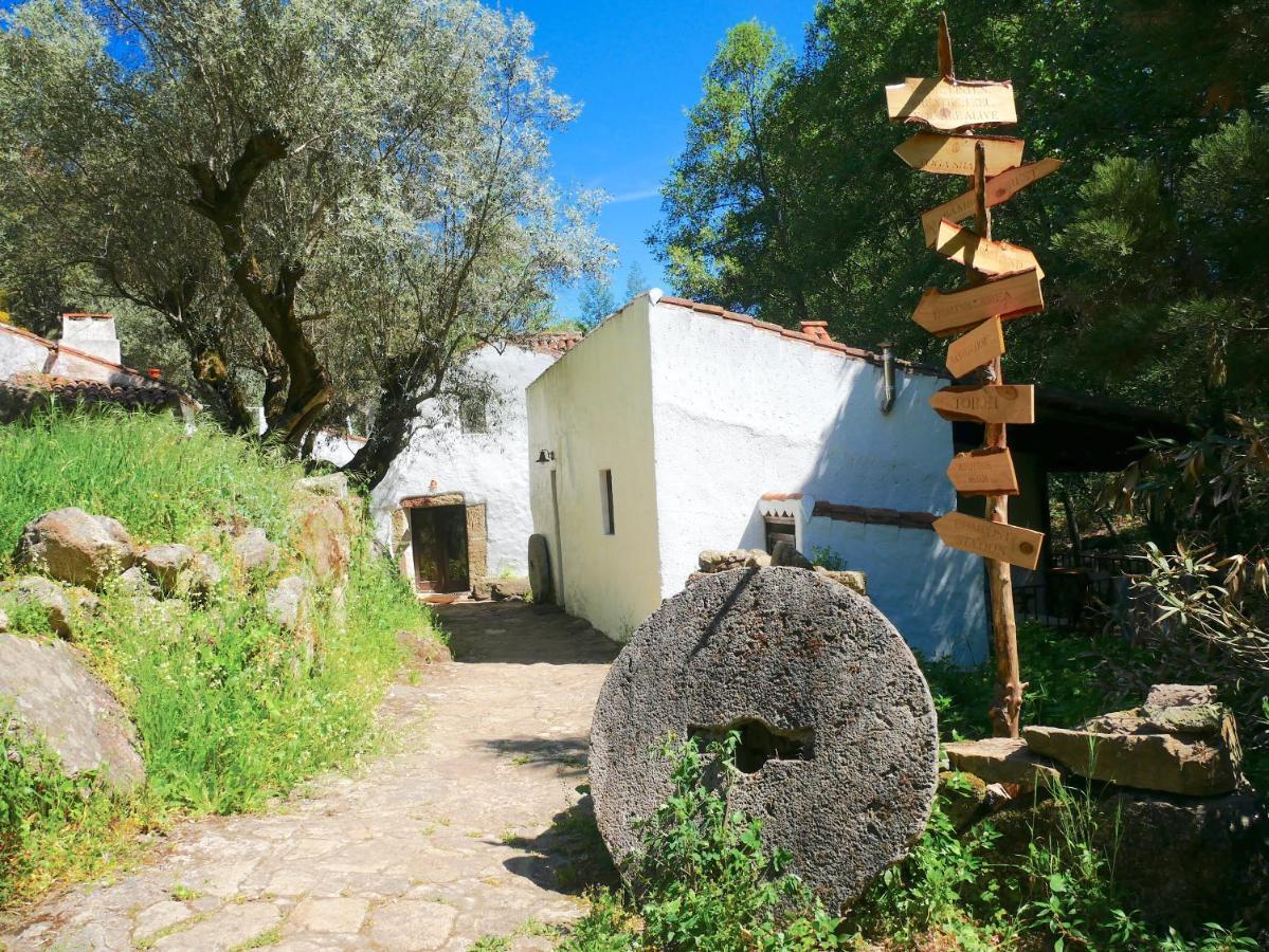 Serra Vida - A Place Of Presence Santo António das Areias Exterior foto